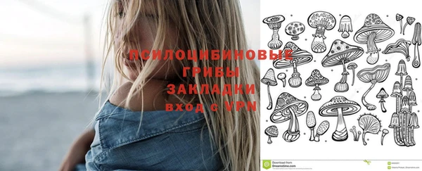 синтетический гашиш Алексин