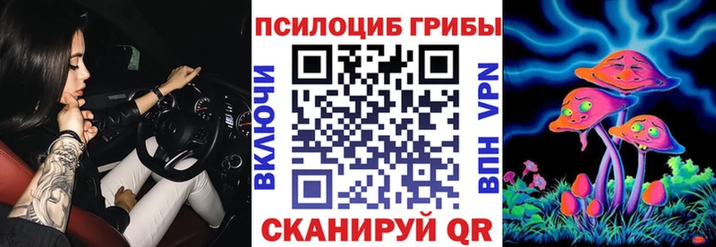 где найти   Карачев  Галлюциногенные грибы MAGIC MUSHROOMS 